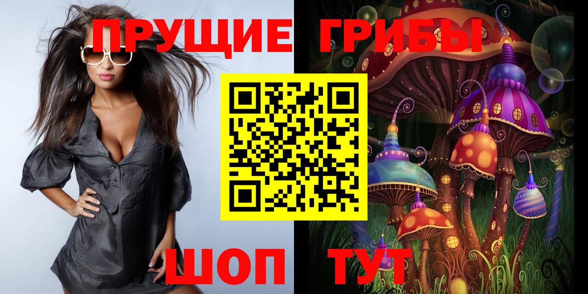 Псилоцибиновые грибы Cubensis  Псилоцибиновые грибы GOLDEN TEACHER  Вход с VPN  Железногорск 