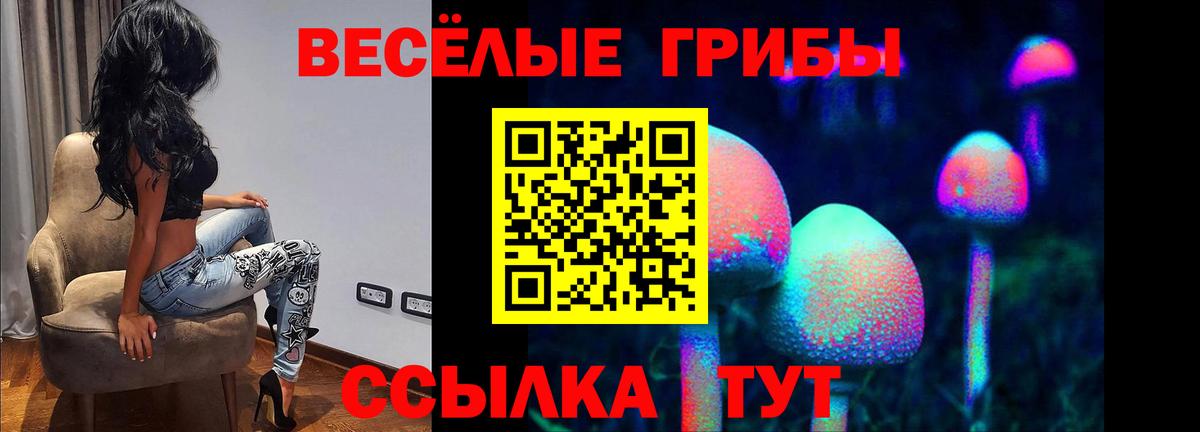 Галлюциногенные грибы Psilocybe Железногорск